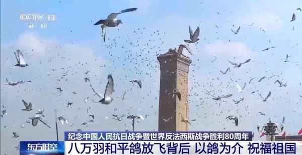 嗨牛股票 8万羽和平鸽在天安门放飞，背后藏着这些真挚祝福