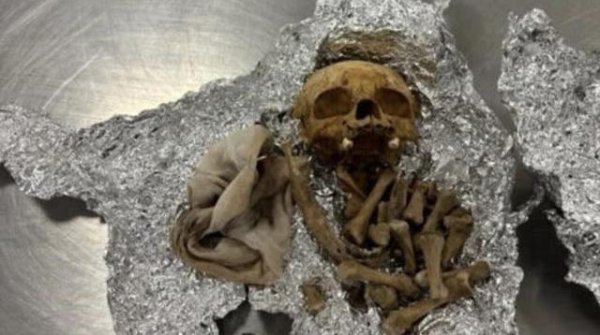 GGV纪源资本 美国机场海关在一乘客行李中查获人类头骨，乘客：是用于举办仪式